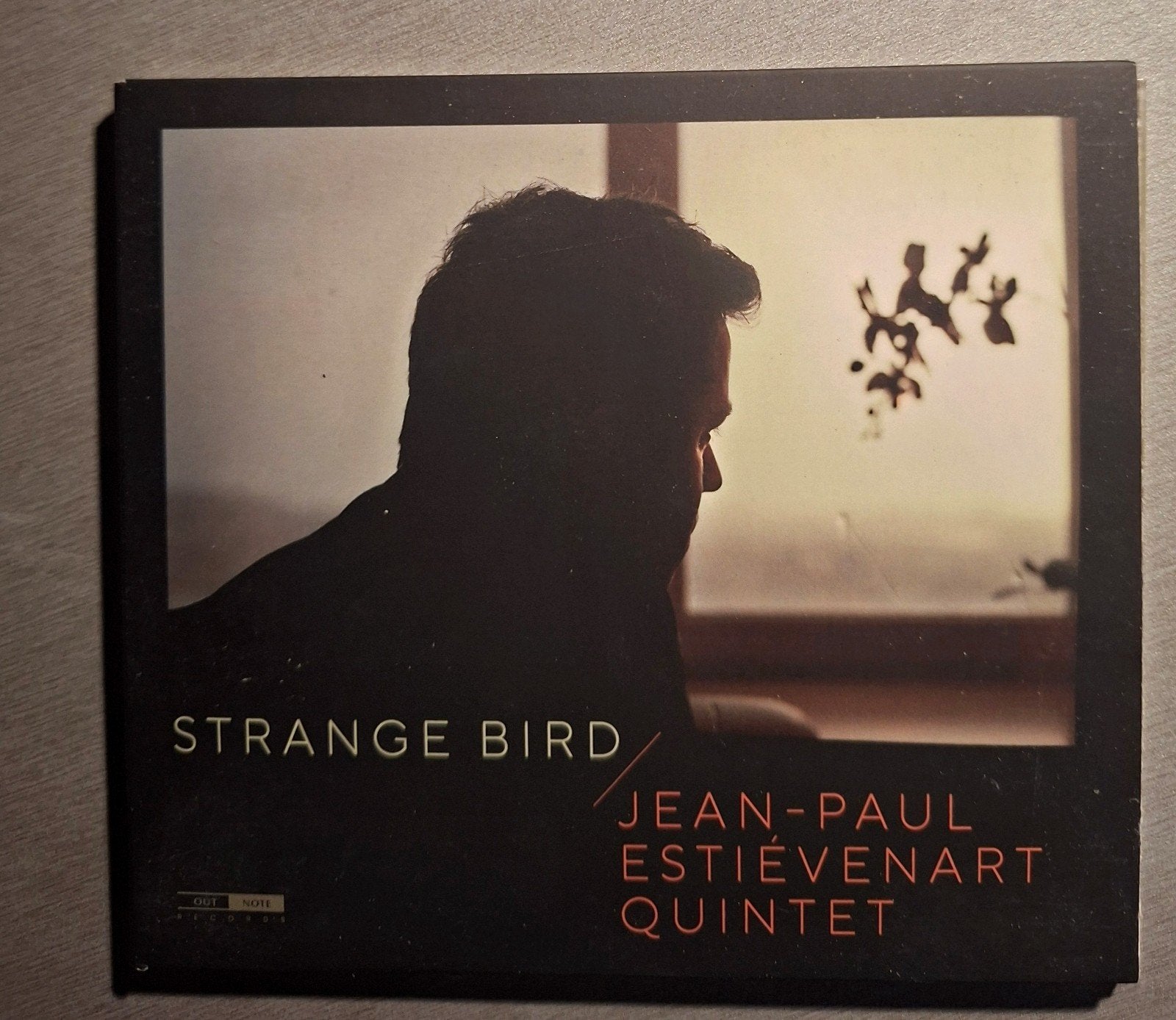 CD. Jean-Paul Estievenart. Oiseau étrange (Digipack)., CD & DVD, Enlèvement ou Envoi