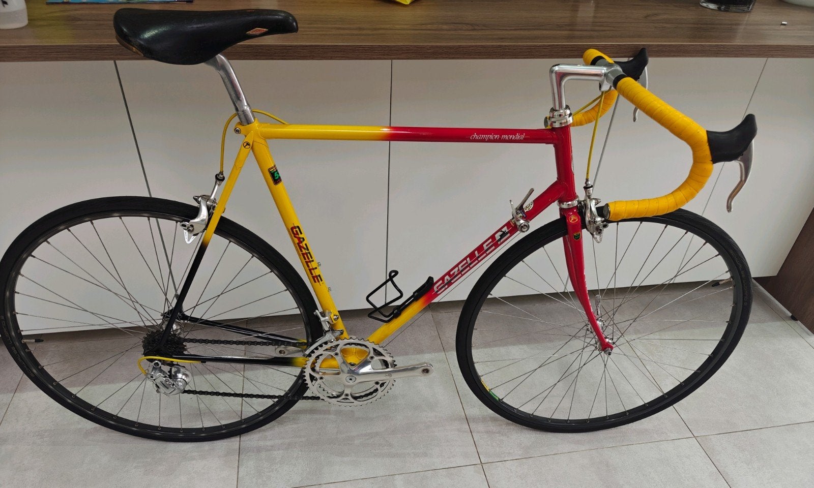 Prachtige gazelle champion mondial koersfiets met campagnolo, Ophalen, Gazelle