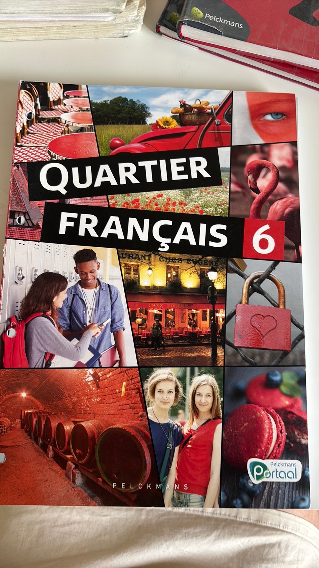 Quartier français invulboek, Boeken, Ophalen, Zo goed als nieuw