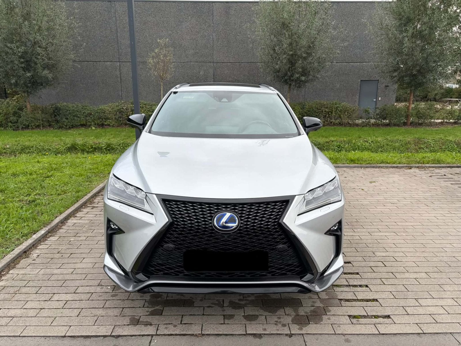 Lexus RX450H F SPORT, Autos, Cuir, Argent ou Gris, Euro 6, 3456 cm³