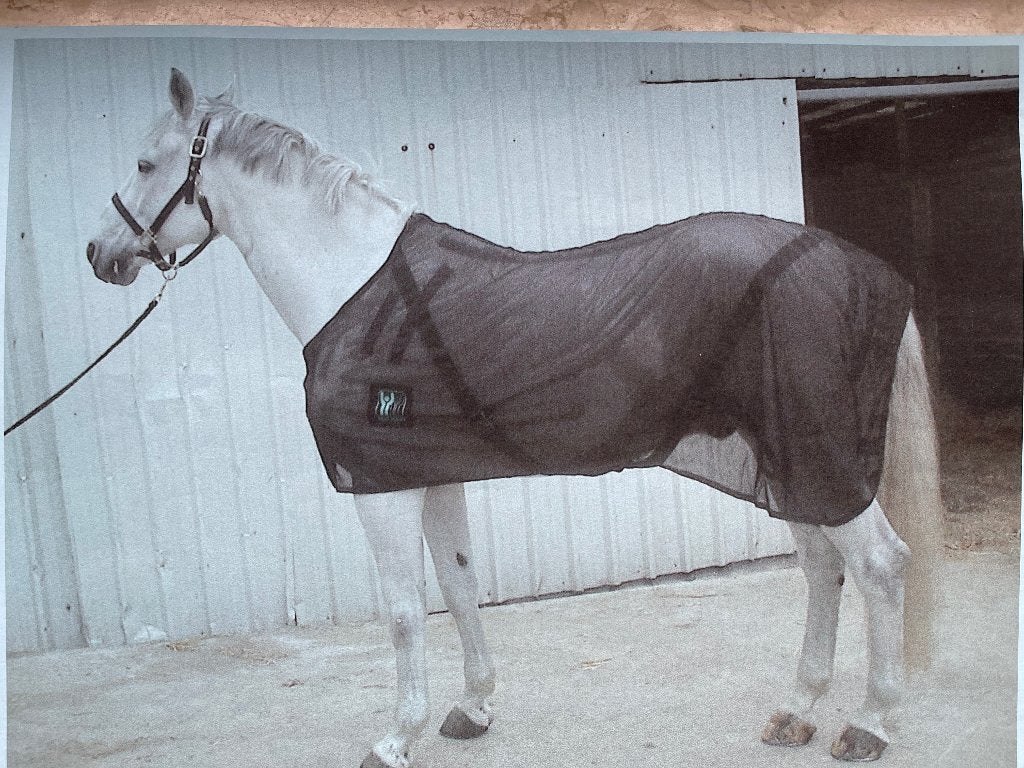 Paardendeken magnetisch Nikken, Animaux & Accessoires, Chevaux & Poneys | Couvertures & Couvre-reins, Neuf, BR, Cob (M), Couverture