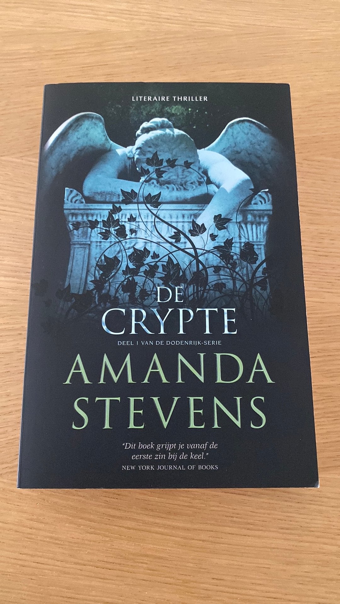 Amanda Stevens - De crypte ( literaire thriller), Boeken, Ophalen of Verzenden, Amanda Stevens