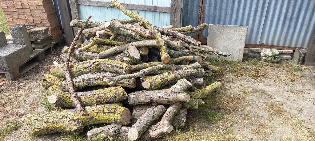 brandhout, Minder dan 3 m³, Ophalen, Overige houtsoorten, Stammen