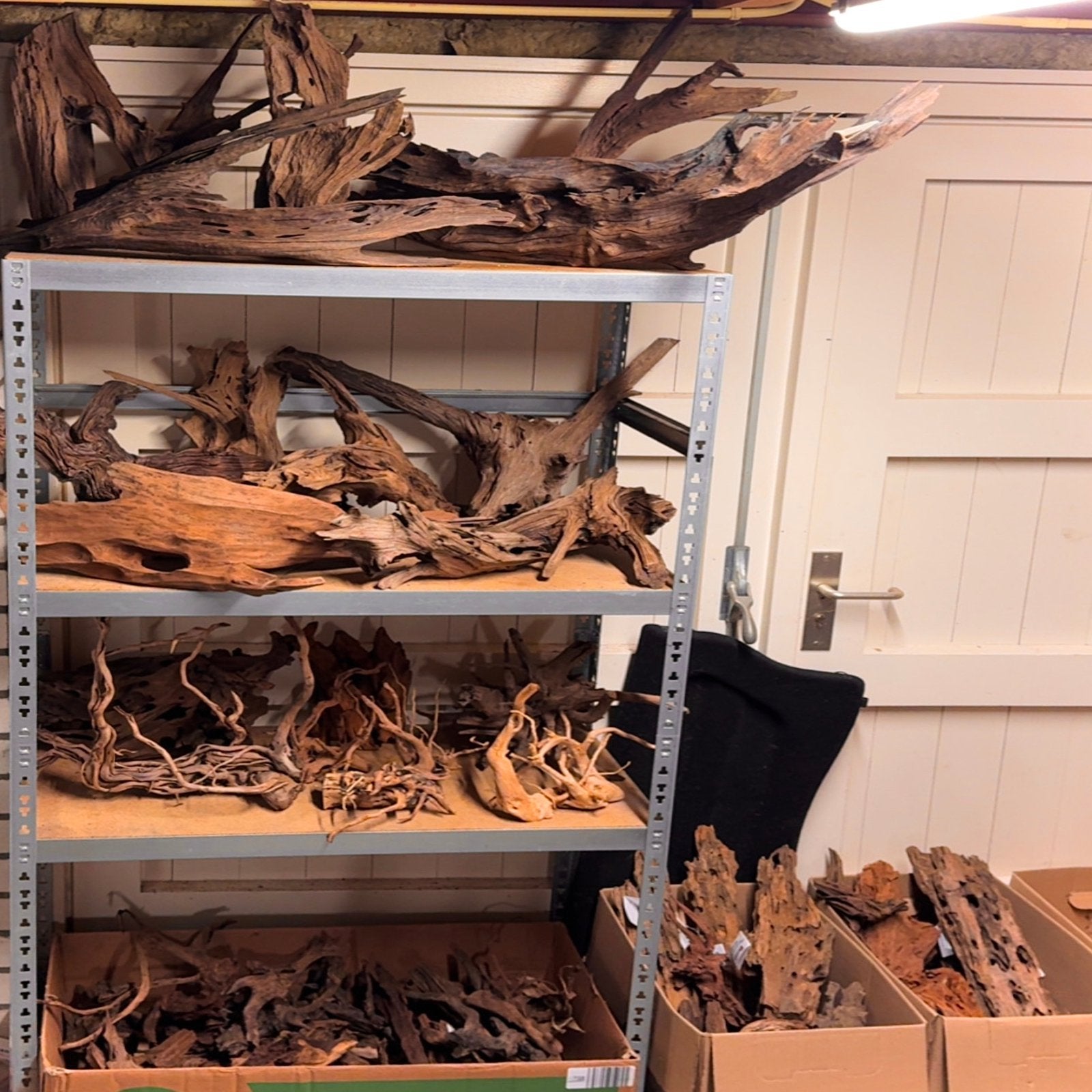 Grote Partij Kienhout / Spiderwood / Mangrove Hout Decoratie, Ophalen of Verzenden, Zo goed als nieuw, Decoratie