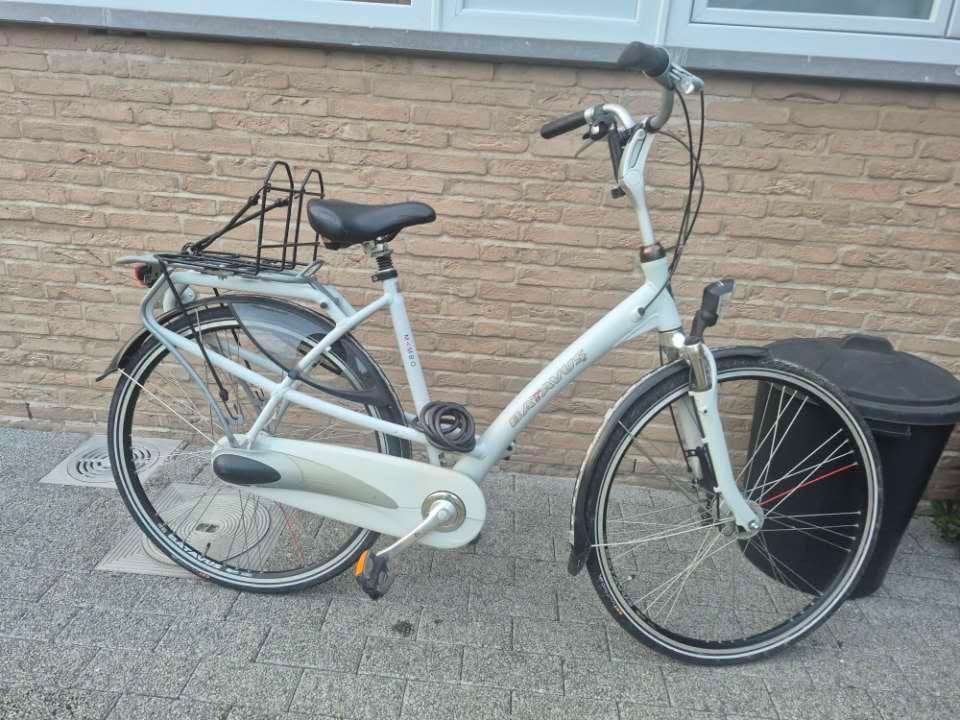 Damesfiets merk Batavus, Fietsen en Brommers, Ophalen, 53 tot 56 cm, (Extra) lage instap, Batavus