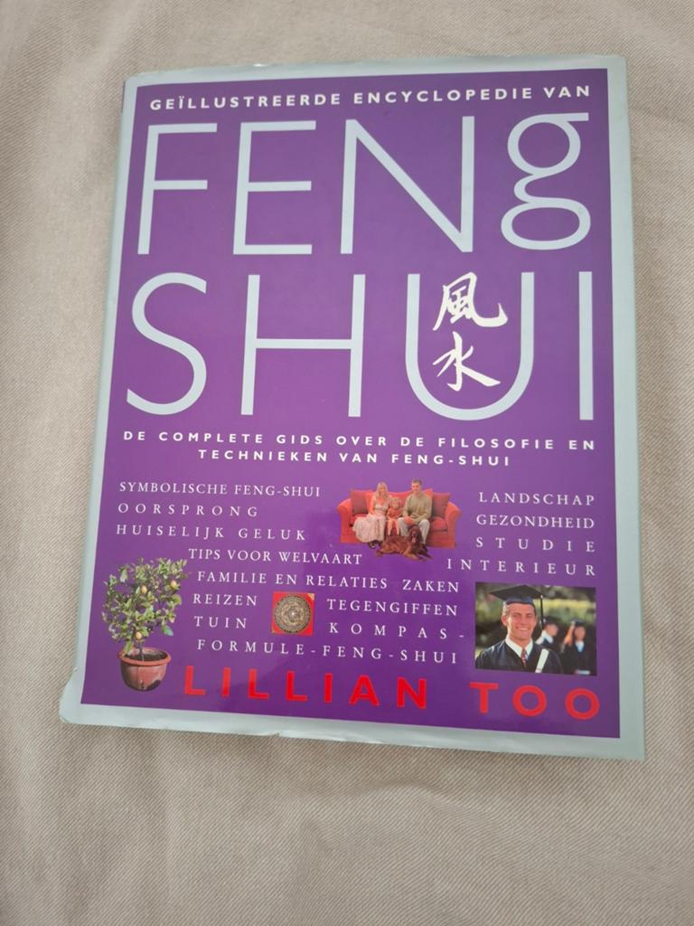 Feng Shui, Livres, Enlèvement
