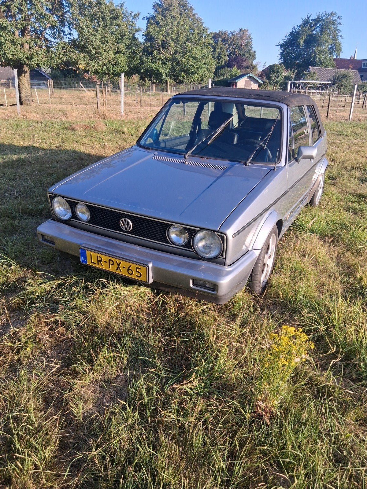 voiture ancienne Golf 1 Cabrio, Cuir, Achat, Cabriolet, Volkswagen
