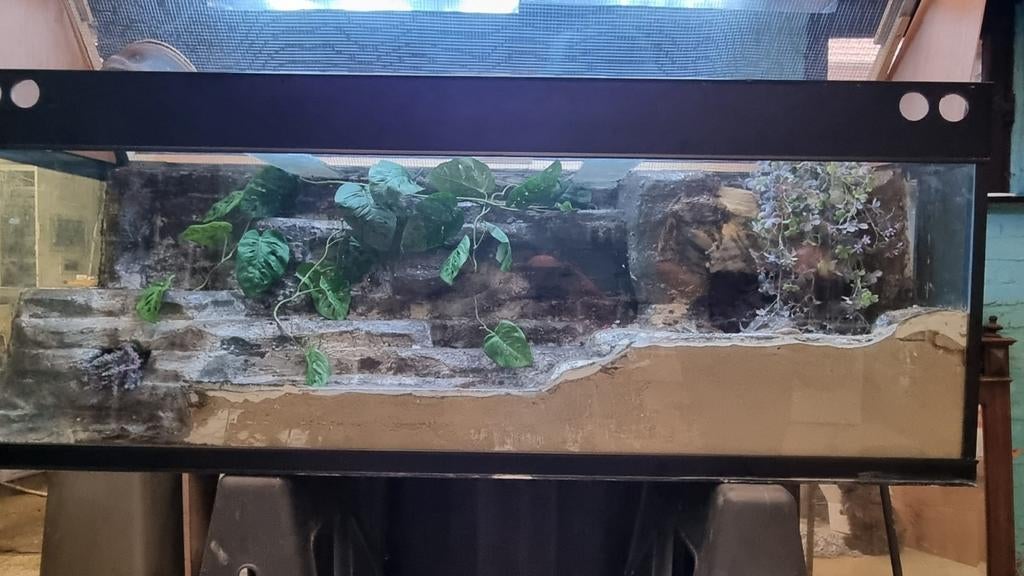 Terrarium 1,60 m, Dieren en Toebehoren, Ophalen, Gebruikt, Terrarium of Paludarium