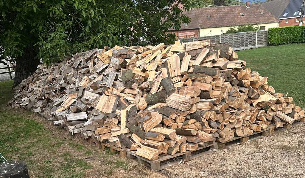 Bois de chauffage en hêtre, Enlèvement, Comme neuf