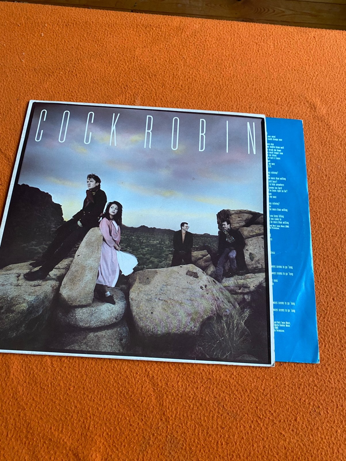 Cock Robin, CD & DVD, Vinyles | Autres Vinyles, Enlèvement ou Envoi, Comme neuf
