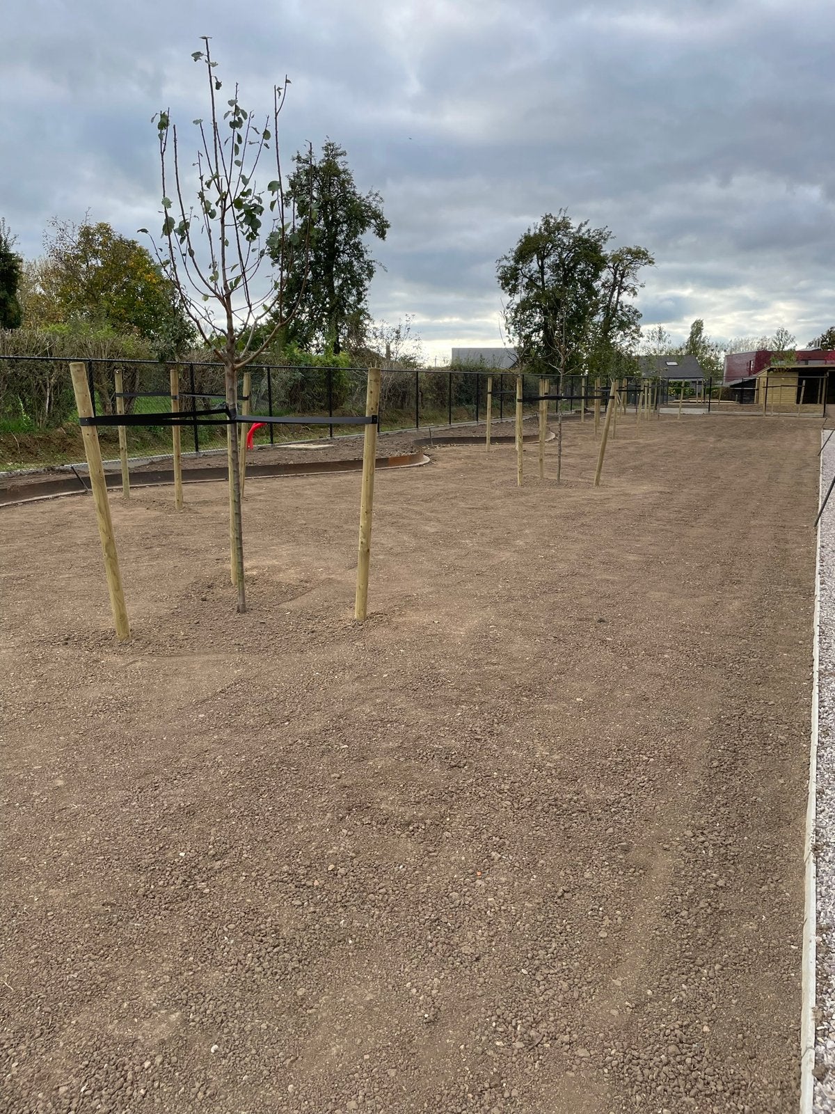 Leg nu de aanleg van je gazon vast voor dit najaar, Tuin en Terras, Ophalen of Verzenden, Nieuw, Gras