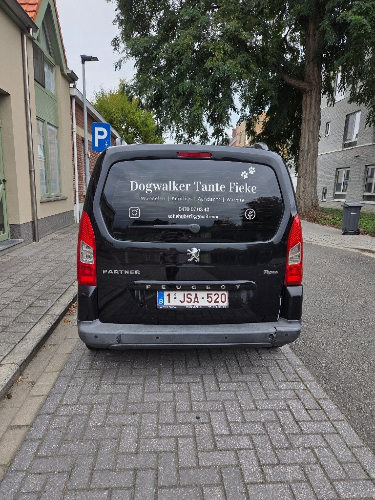 Peugeot partner voor export, Auto's, Stof, 139 g/km, Dakrails, Zwart