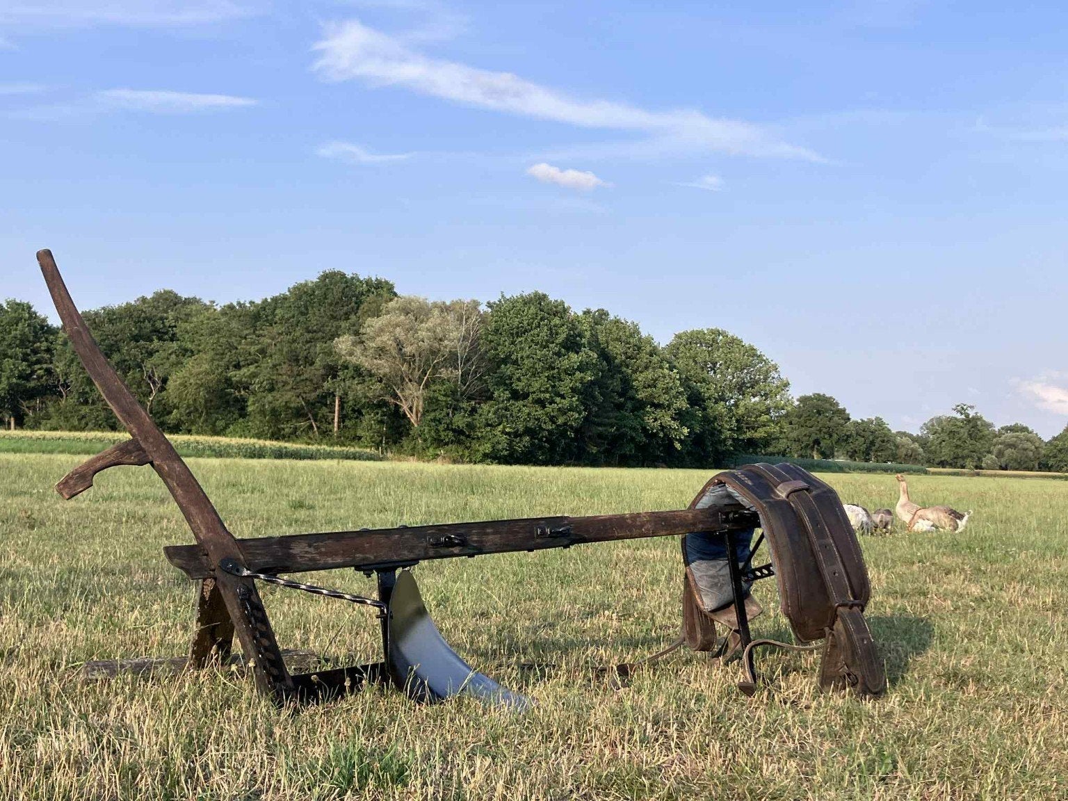 Oude houten ploeg met tuig, Enlèvement