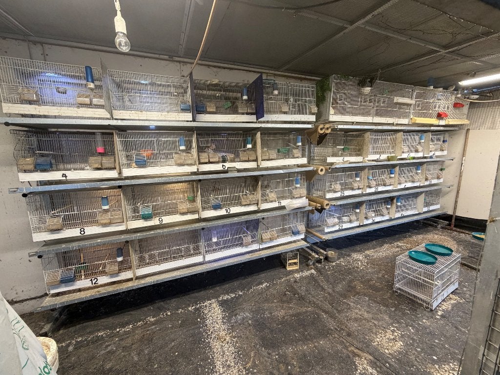 Cages, Enlèvement, Comme neuf, Métal, Cage d'élevage