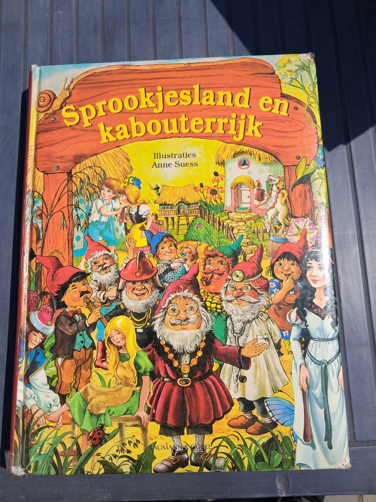 Sprookjesland en kabouterrijk, Enlèvement