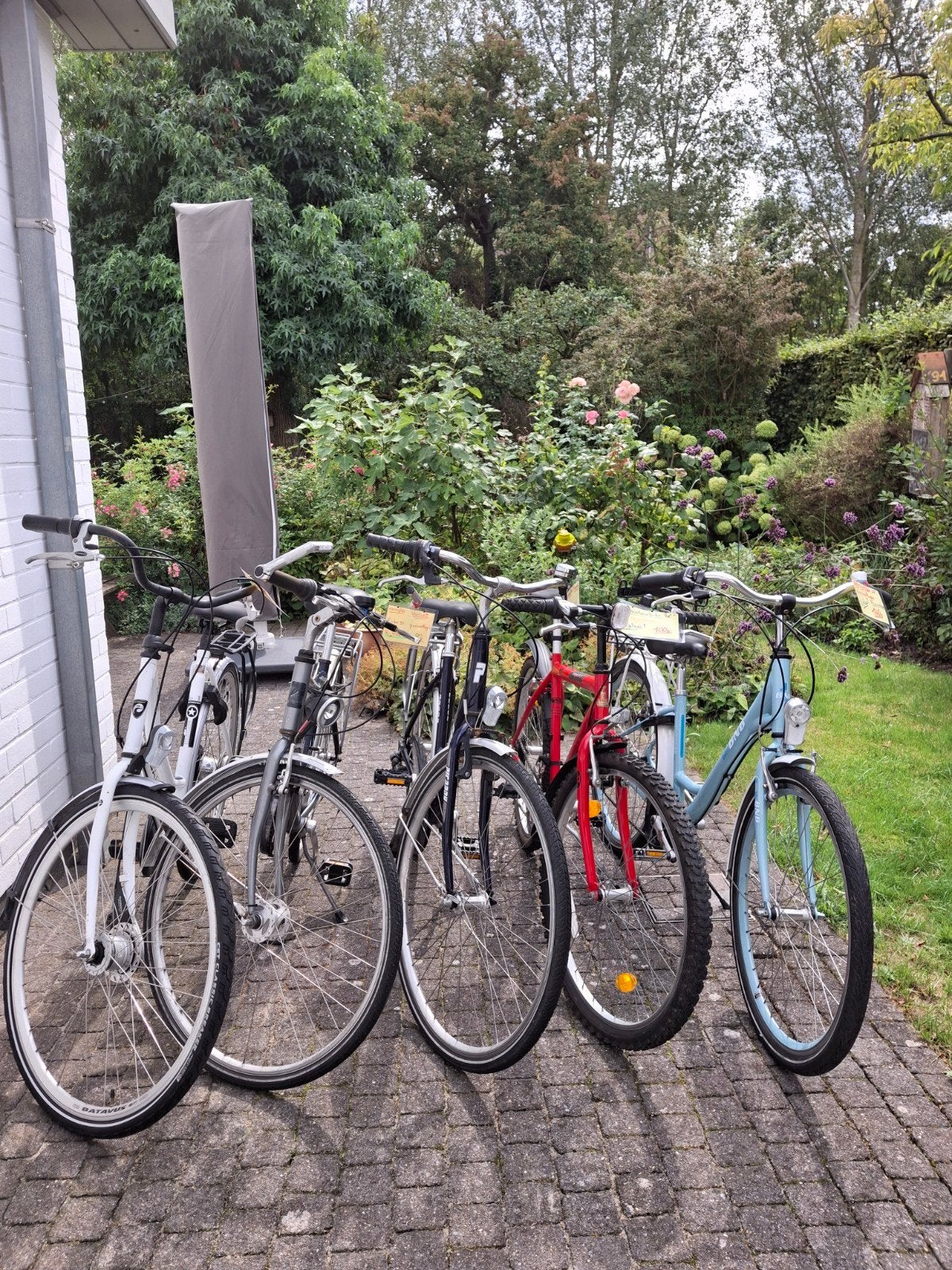 5 mooie fietsen RIJKLAAR! 2 kinderfietsen 2 dames en 1 heren, Enlèvement, Batavus, Vitesses