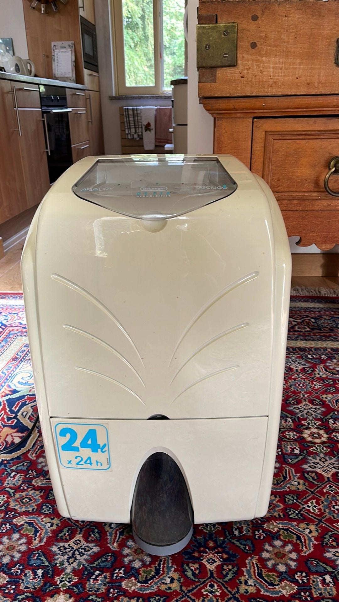 Delonghi DE 220, Enlèvement, Utilisé, Déshumidificateur