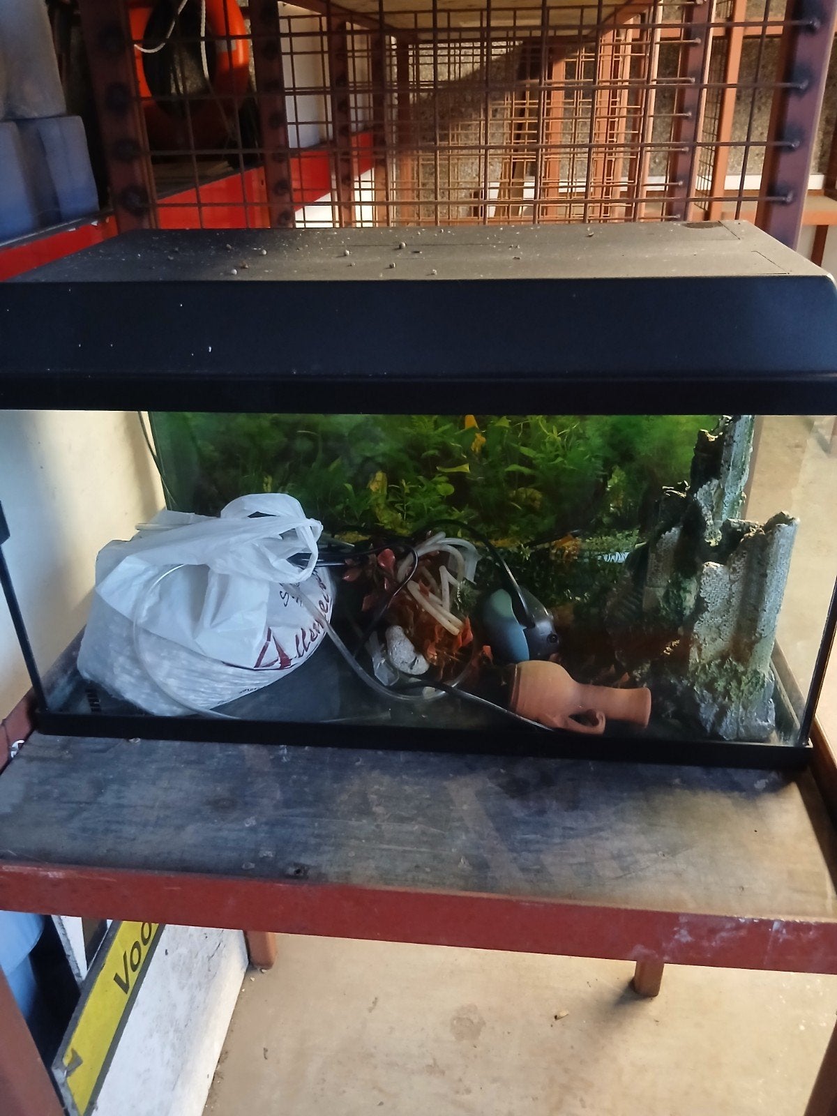 aquarium met toebehoren regio blankenberge, Dieren en Toebehoren, Ophalen, Gebruikt