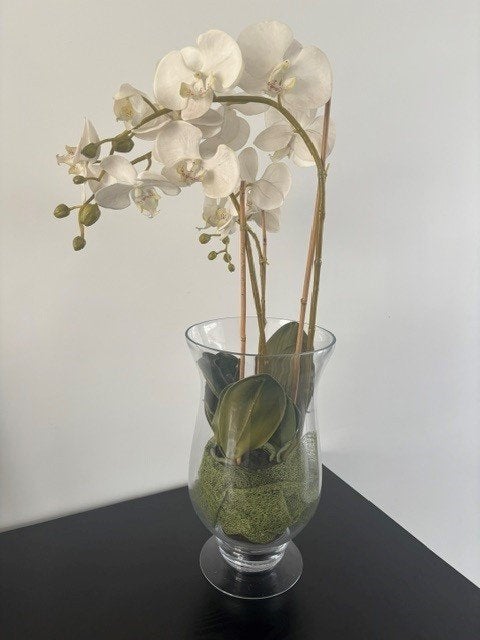 Witte kunstorchideeën in glazen vaas, Ophalen, Binnen, Gebruikt, Kunstbloem