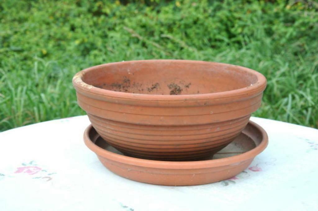 §  vasque terre cuite avec coupelle en plastique (2), Enlèvement ou Envoi, 25 à 40 cm, Utilisé, Intérieur