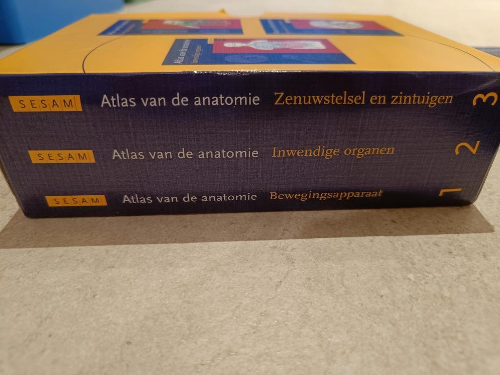 Atlas van de anatomie pocket 3delig, Enlèvement, Utilisé, Autres sciences