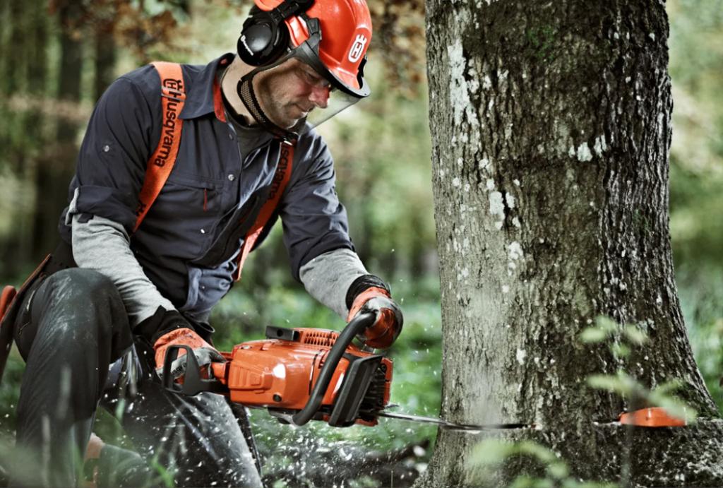 Gratis bomen omzagen voor brandhout, Tuin en Terras, Ophalen