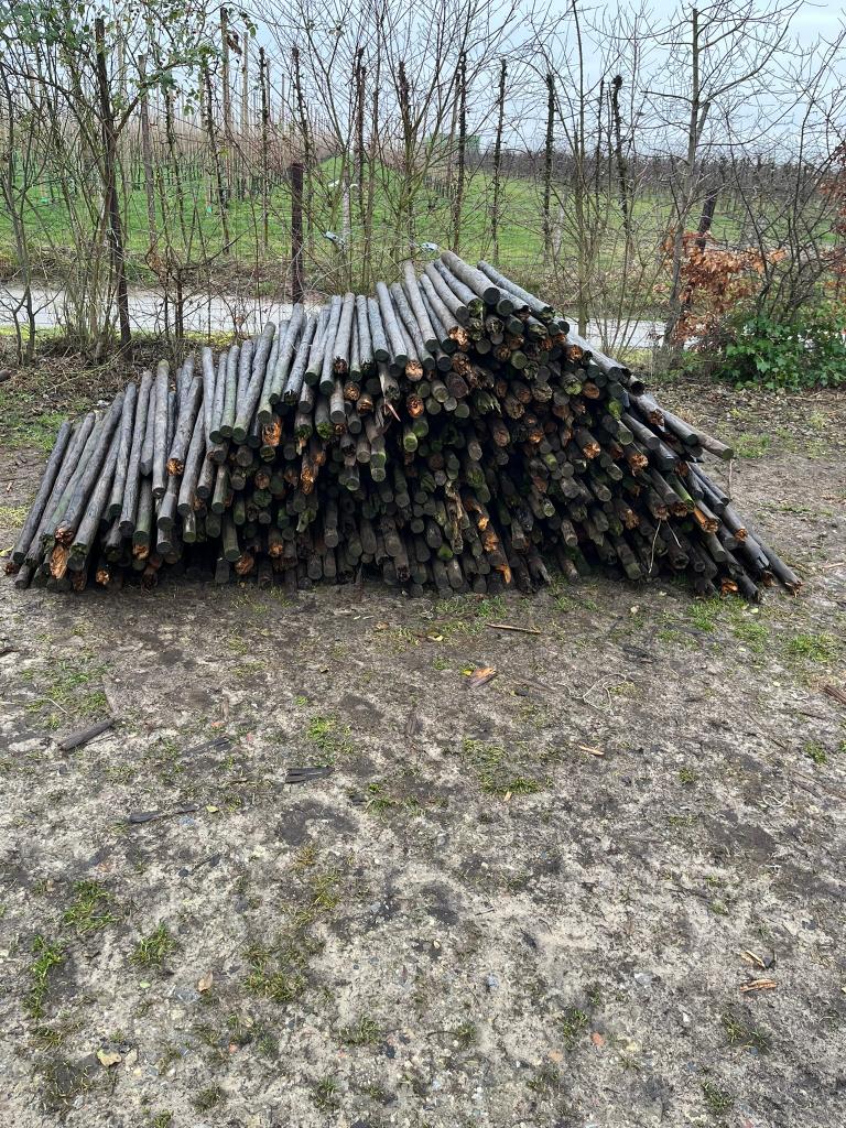 Gratis Houten palen & ijzerdraad/spanners (GEEN BRANDHOUT!), Tuin en Terras, Ophalen, Gebruikt, Palen