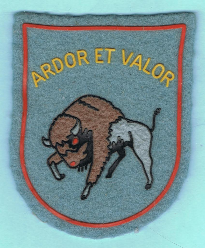 Belgian Air Force Sleeve Insignia ( MS 106 ), Ophalen of Verzenden, Luchtmacht, Embleem of Badge