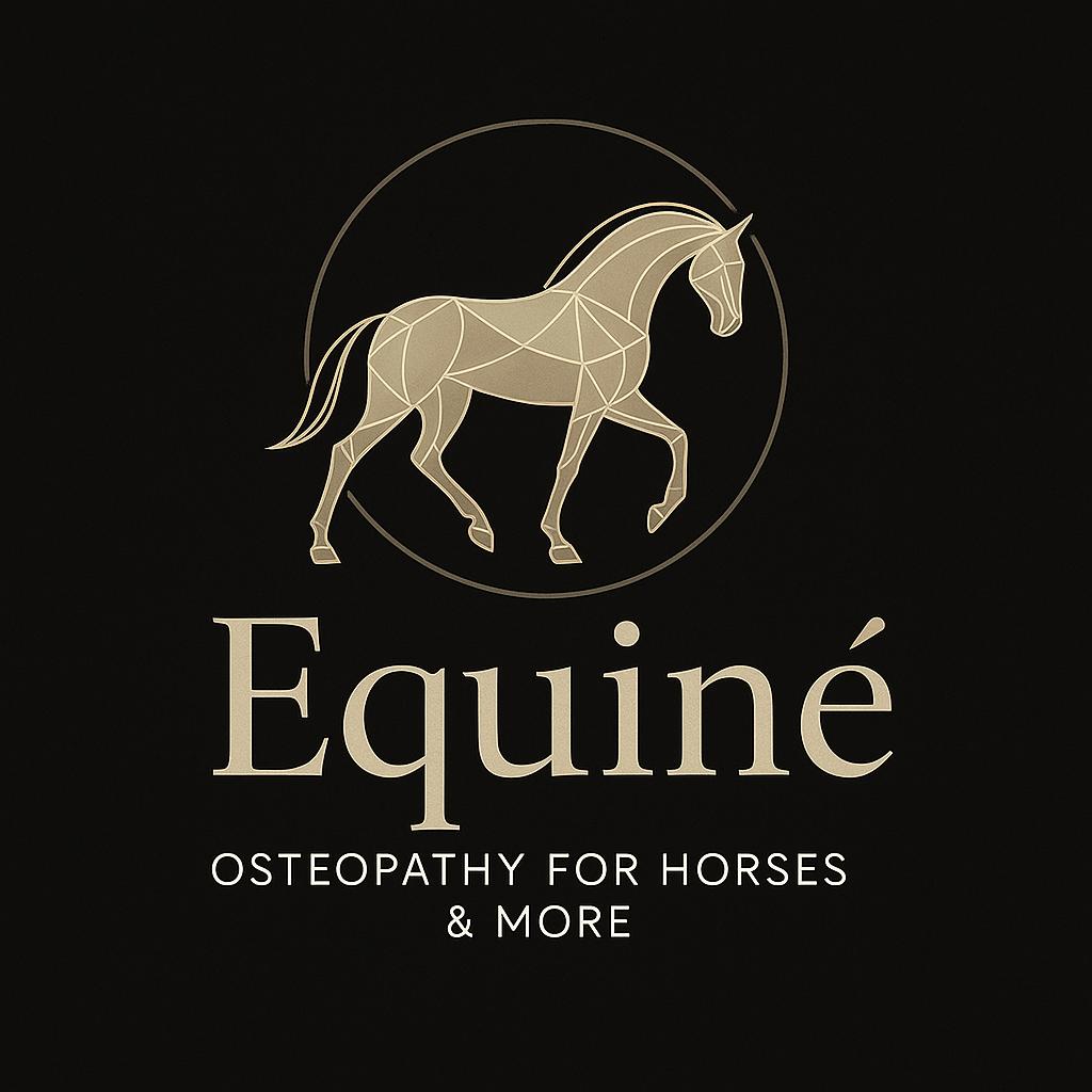 Paardenosteopaat