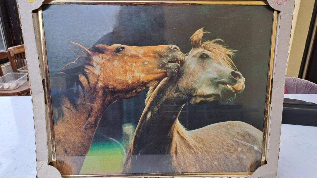 kader met foto van paarden - met glas beschermd, Huis en Inrichting, Ophalen, Nieuw