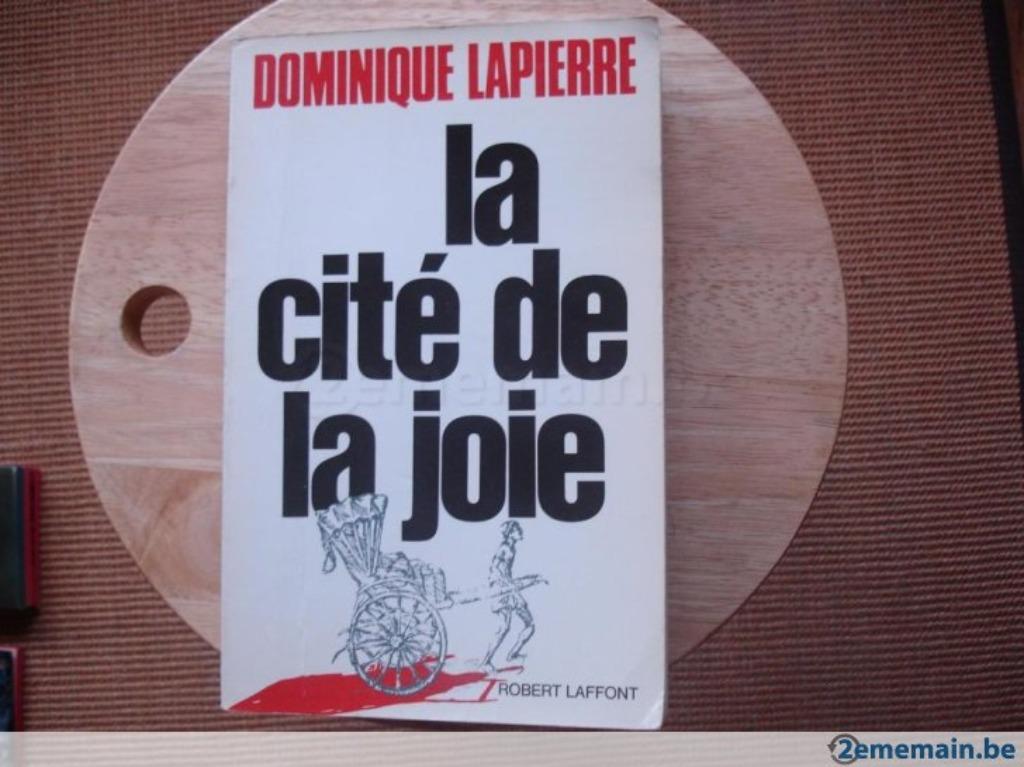 La cité de la joie, Dominique Lapierre, Enlèvement, Utilisé