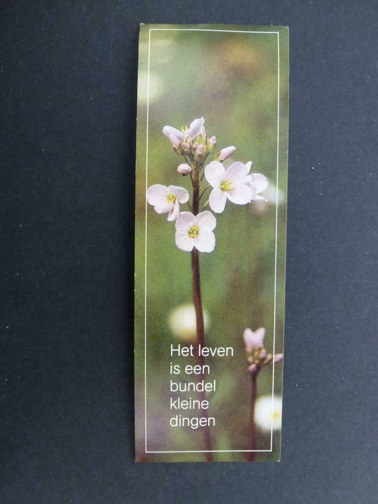 oud prentje  kloosterleven zuster Philomena Vanhulst  1984, Verzamelen, Verzenden, Bidprentje