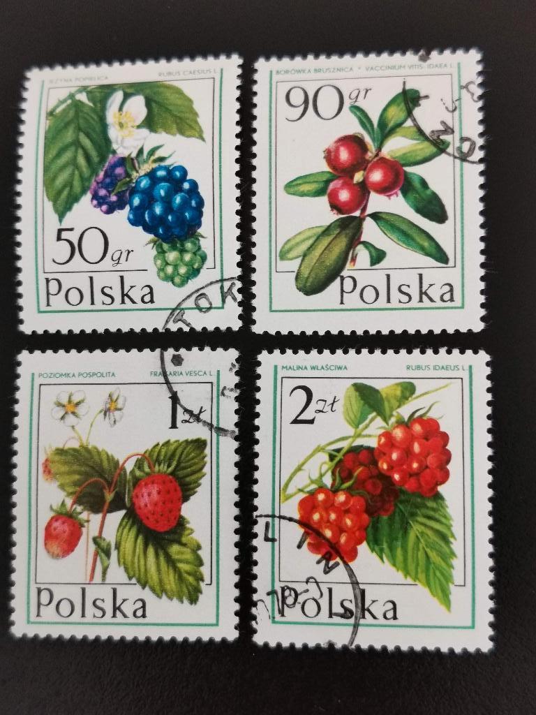 Polen 1977 - flora, bosvruchten, bessen, Ophalen of Verzenden, Polen, Gestempeld