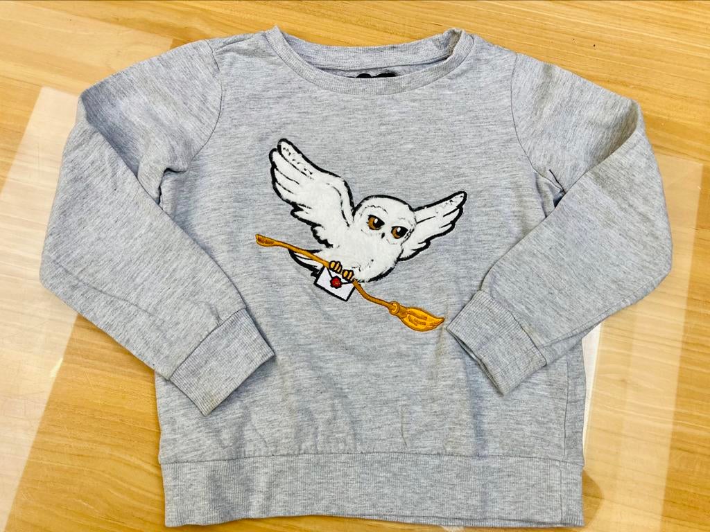 Pull Harry Potter 116, Enlèvement ou Envoi, Comme neuf, Pull ou Veste