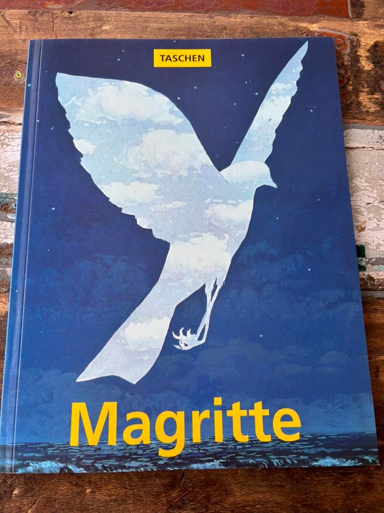 Boek Magritte van de schrijver en kunstcriticus José PIERRE, Ophalen, Zo goed als nieuw