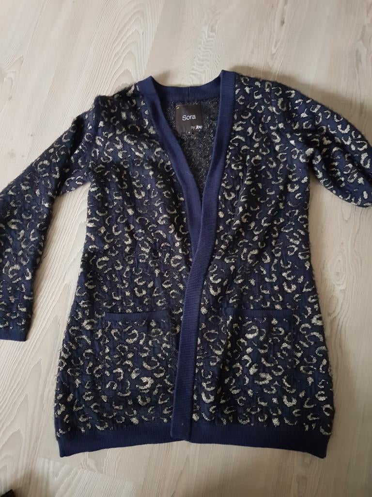 Vest donkerblauw met goud, Ophalen of Verzenden, Zo goed als nieuw