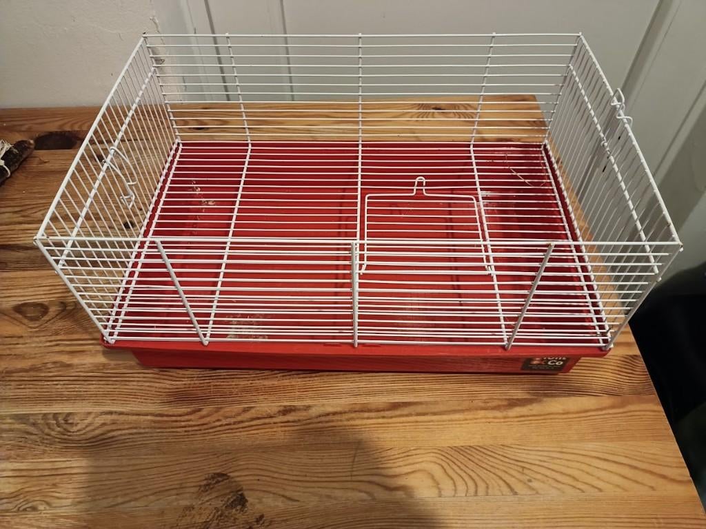 cage hamster, Souris, Moins de 60 cm, Cage, Utilisé