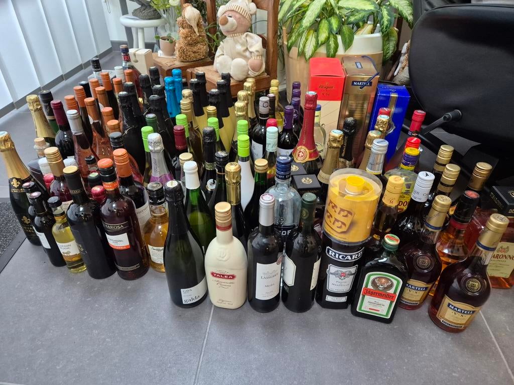 Dranken / Likeuren / Wijnen / Cava / Champagne, Ophalen, Overige gebieden, Overige typen, Nieuw