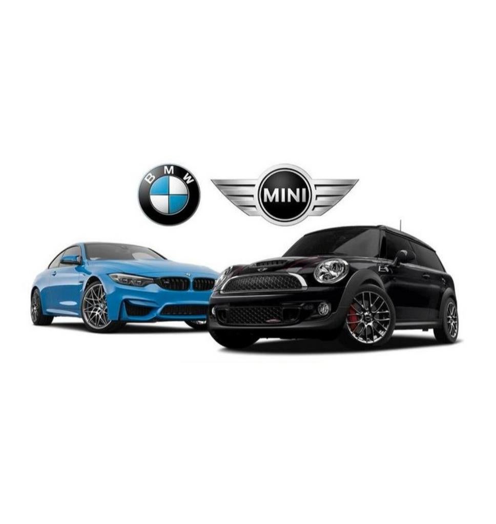 BMW & Mini optie's vrijschakelen Coderen, Ophalen of Verzenden