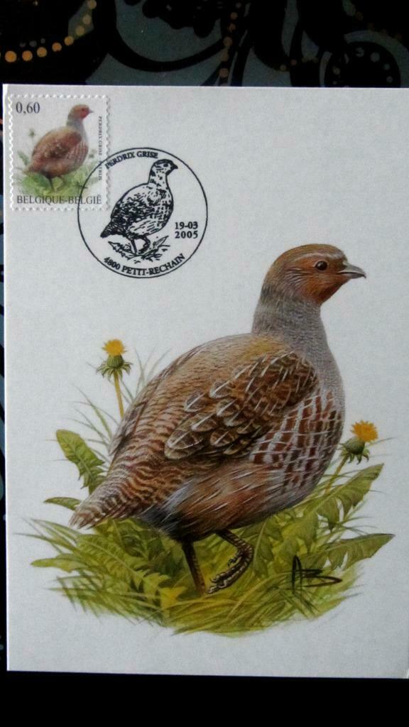 FIRST DAY OP KAART- VOGELS VAN BUZIN- DE PATRIJS, Ophalen of Verzenden, Gestempeld, Dier of Natuur