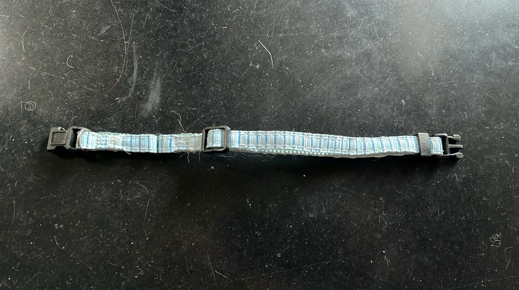 Collier pour chat, Enlèvement ou Envoi, Comme neuf