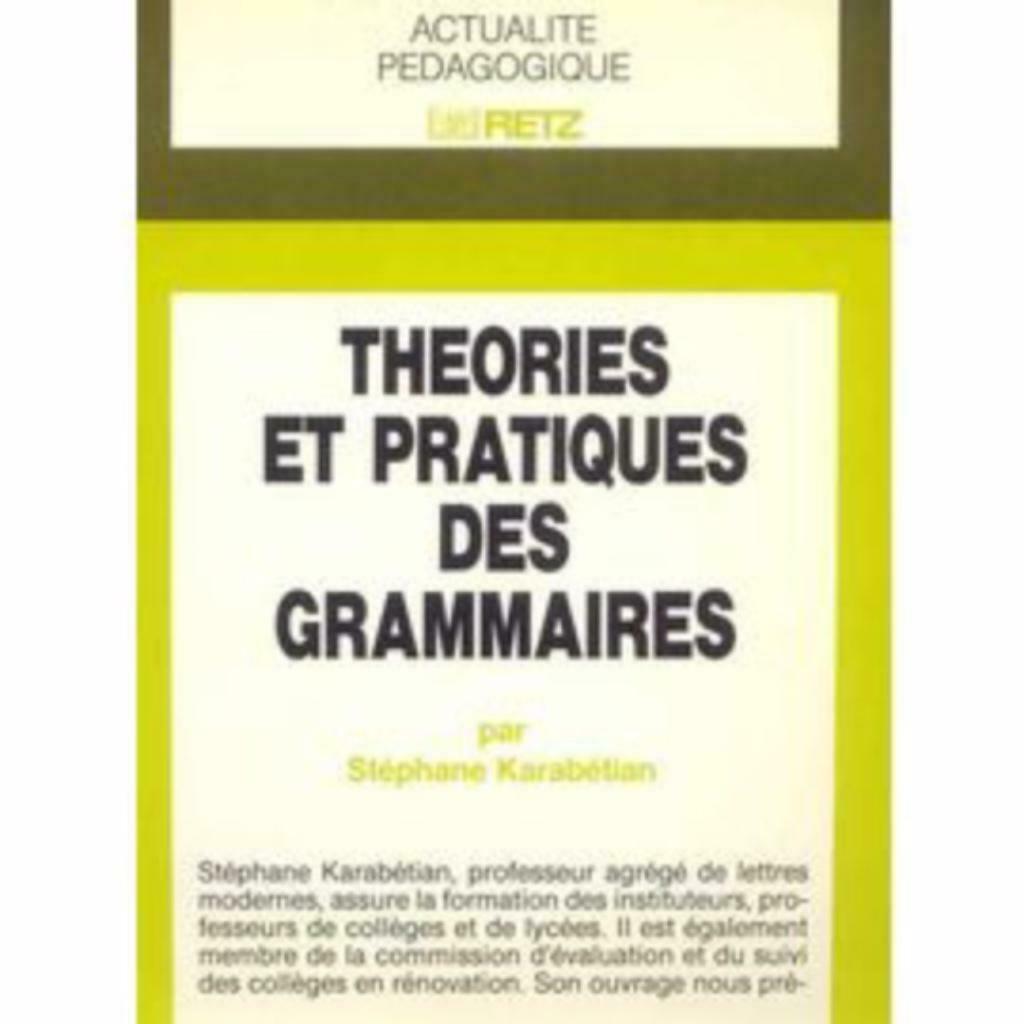 Théorie Et Pratique De La Grammaire - Stéphane Karabétian, Livres, Stéphane Karabétian, Enlèvement ou Envoi, Autres sciences, Utilisé