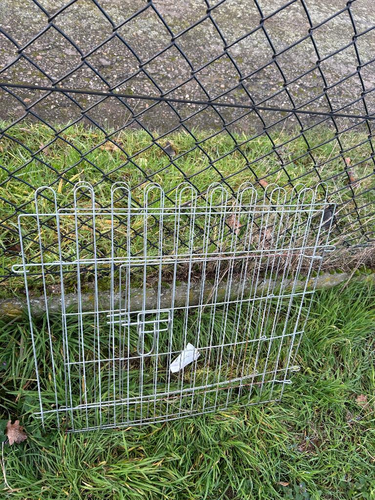 Buitenren dieren konijn cavia, Ren, Eekhoorn, Ophalen, Minder dan 60 cm
