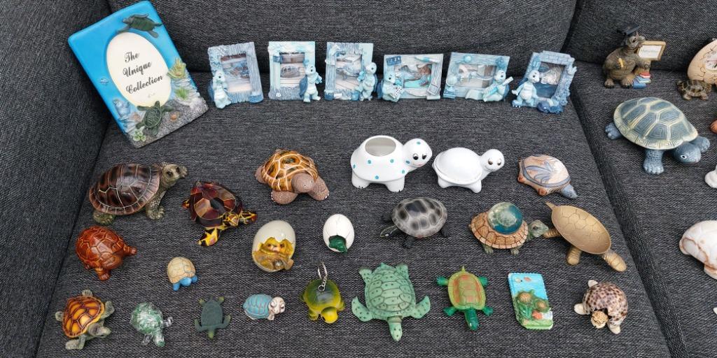 Schildpadden verzameling, Verzamelen, Ophalen of Verzenden, Zo goed als nieuw, Beeldje of Figuurtje