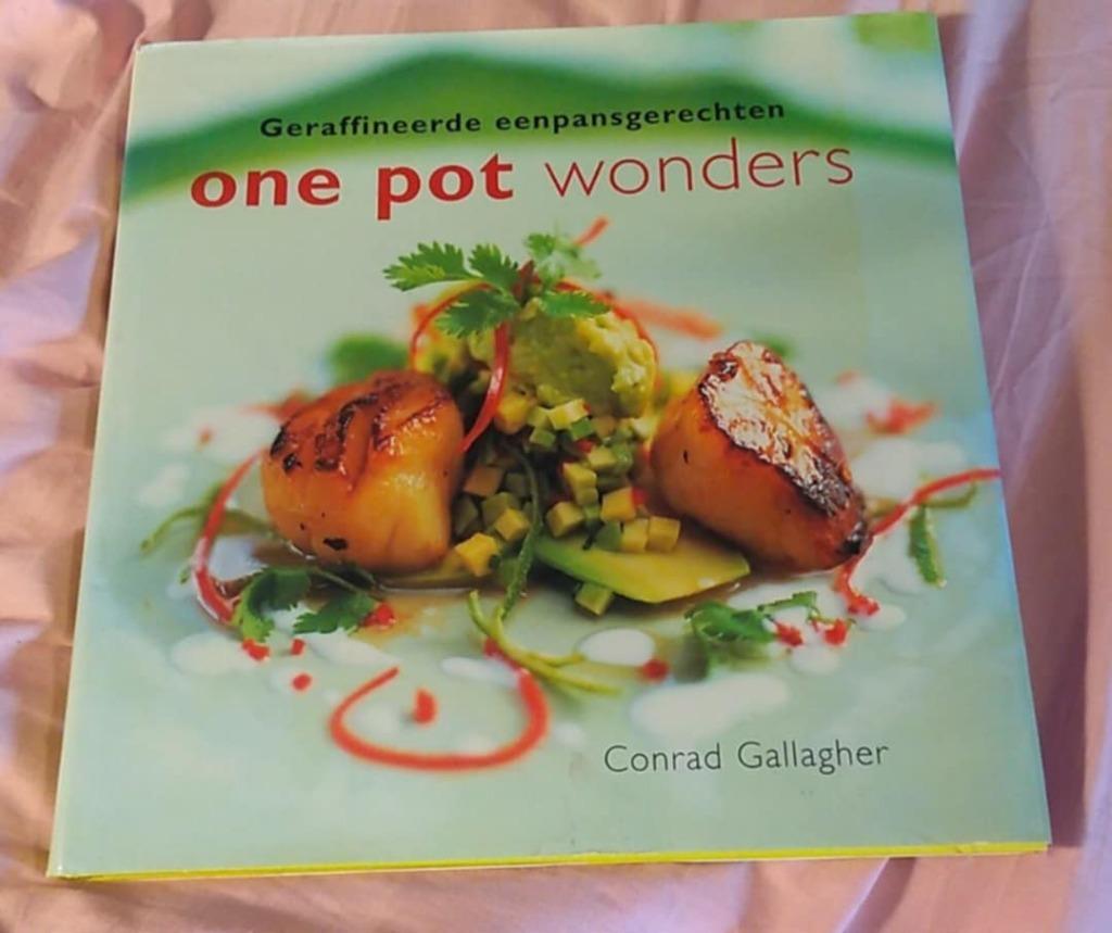 One pot wonders eenpansgerechten, Boeken, Ophalen of Verzenden, Conrad Gallagher