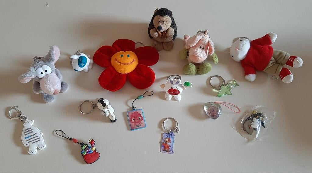 15 sleutelhangers, Ophalen of Verzenden, Gebruikt