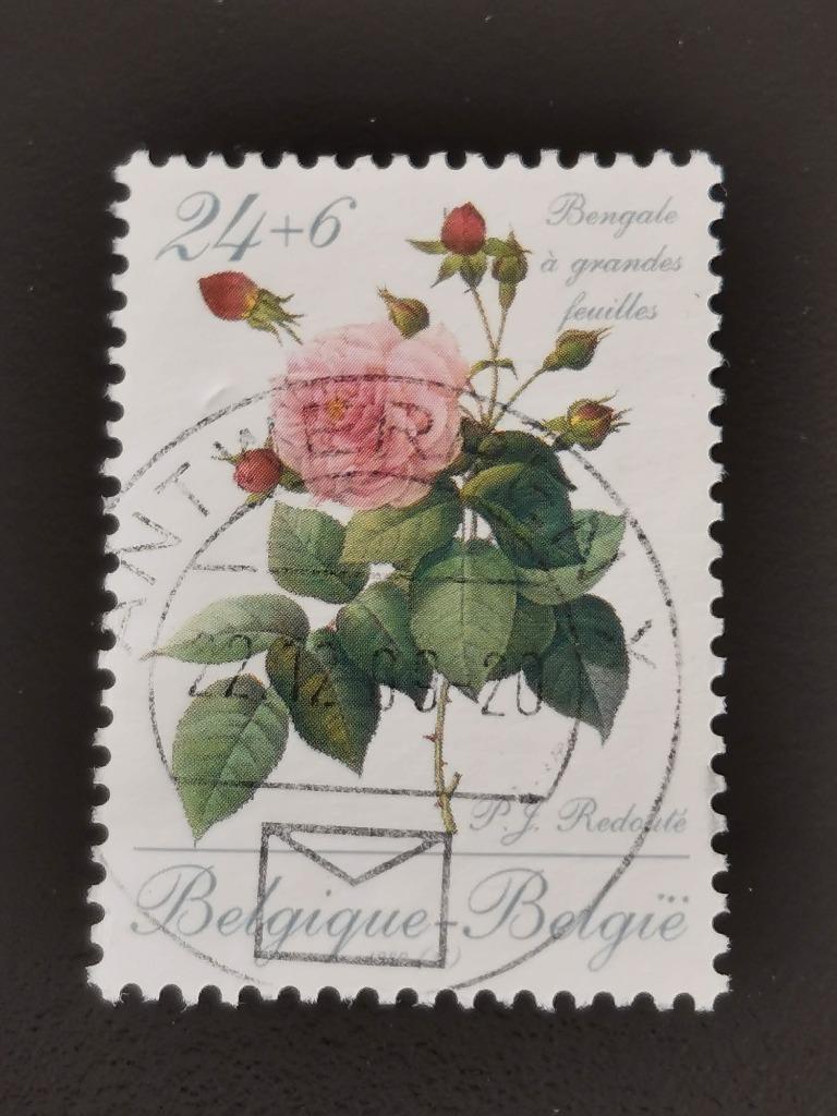Belgique 1989 - rose par Redouté - timbre avec surcharge, Enlèvement ou Envoi, Affranchi, Art