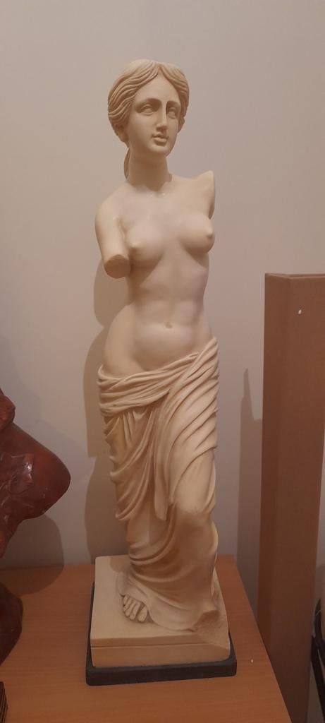 Prachtig standbeeld van Venus de Milo, Ophalen