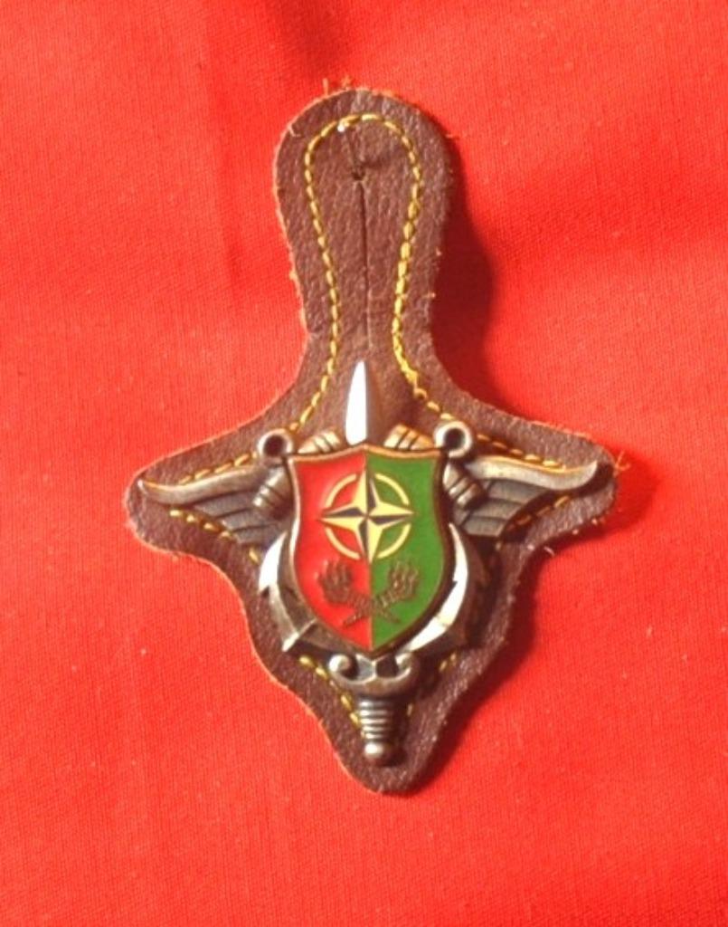 pucelle armée francaise 2eme division otan, Enlèvement ou Envoi, Armée de terre, Emblème ou Badge