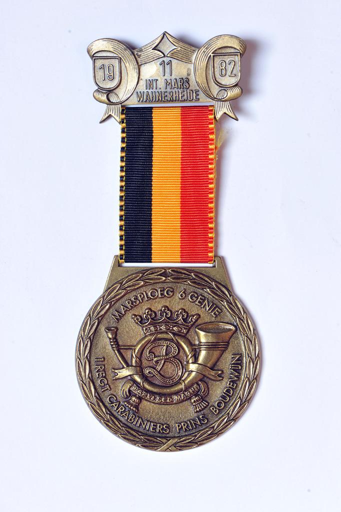 Carabiniers Prince Baudouin - médaille, Envoi, Armée de terre, Ruban, Médaille ou Ailes